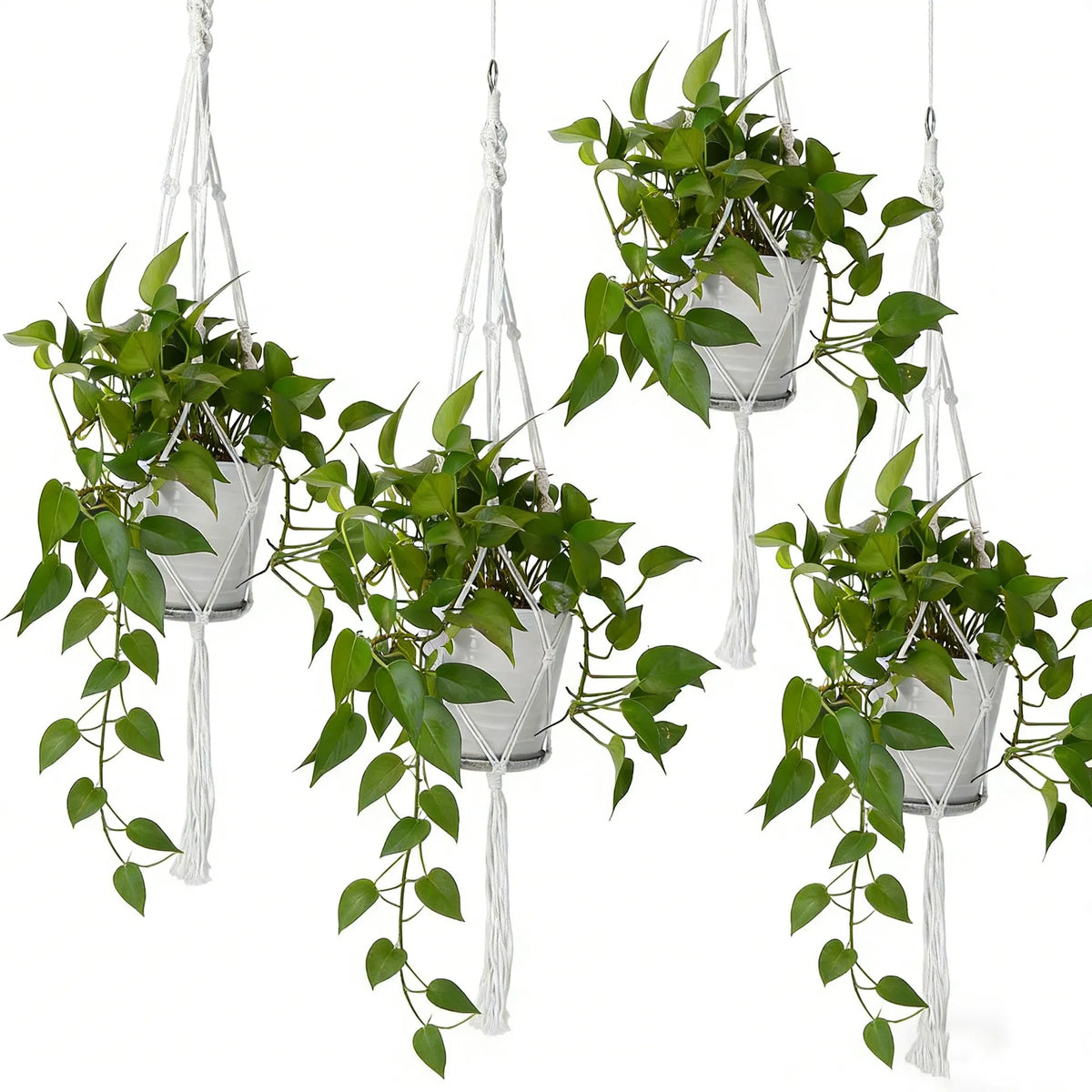 Macrame Cotton Rope Plant Hangers, 4 Pack - image 2
