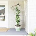 Garden Obelisk Trellis, 6.2 ft, Black