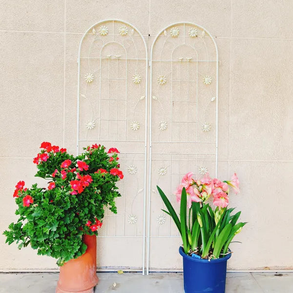 Metal Garden Trellis, 71 x 19.7 in, 2 Pack
