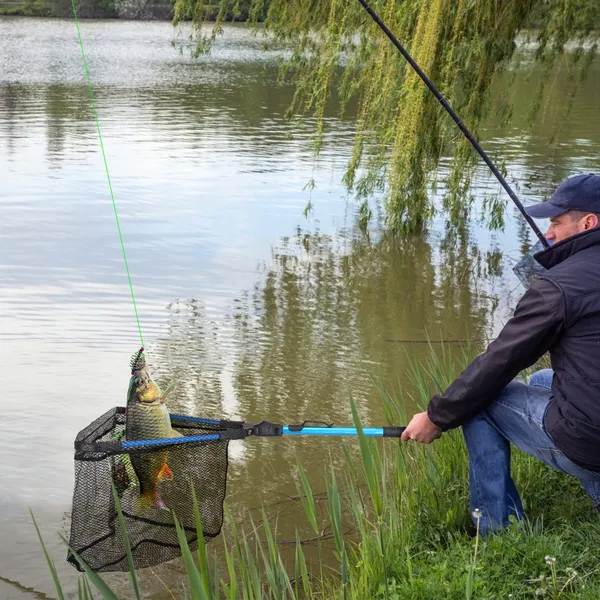Folding Fishing Landing Net with Aluminum Handle - image 2