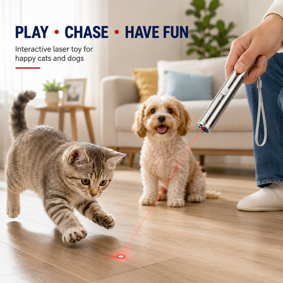 3-in-1 Rechargeable Pet Laser Toy - image 3