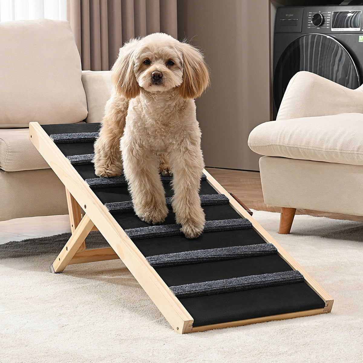 Folding Dog Ramp, Adjustable Height - image 2