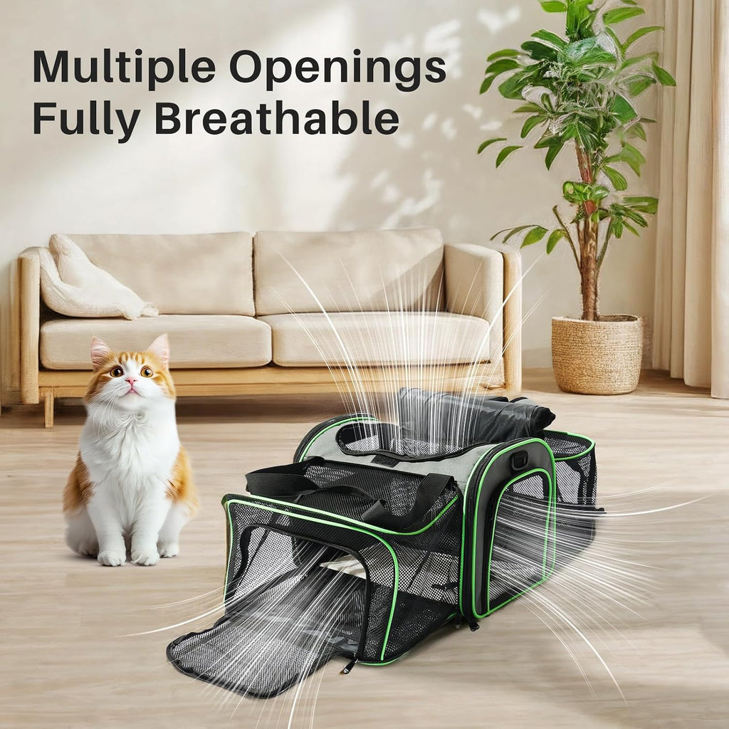 Expandable Pet Carrier Backpack, Black - image 2