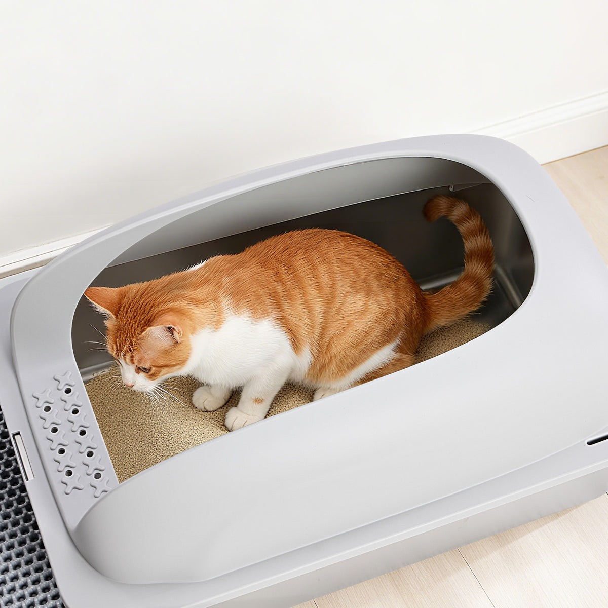 Stainless Steel Cat Litter Box with Lid