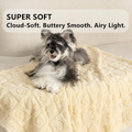 Coral Fleece Pet Blanket, Cream