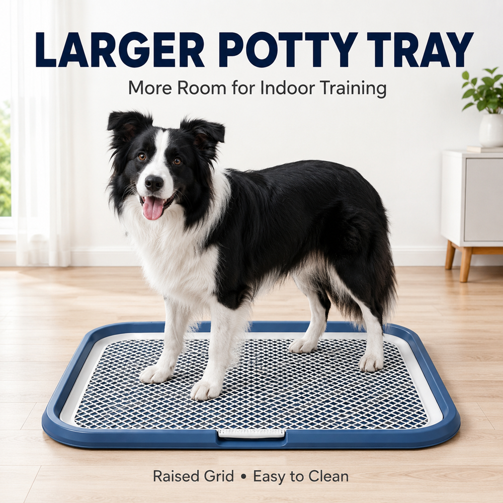 Dog Potty Training Tray with Grate, 25.6 x 19.7 in, Navy - image 5