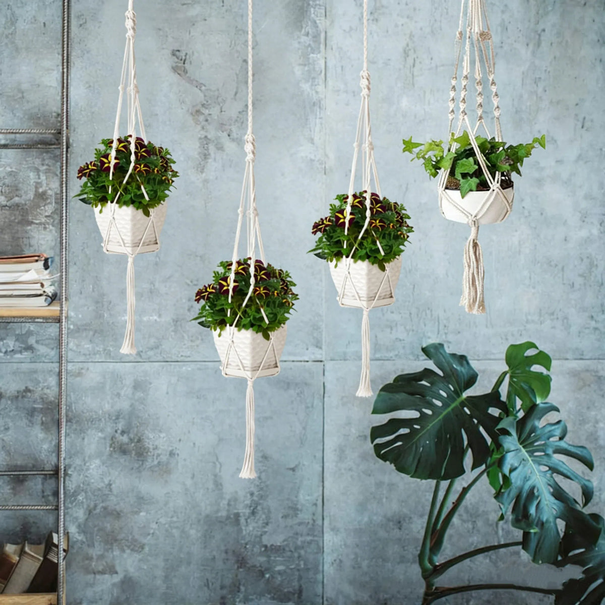 Macrame Cotton Rope Plant Hangers, 4 Pack - image 5